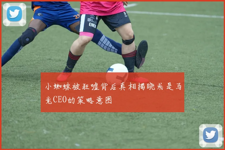 小蜘蛛被狂嘘背后真相揭晓或是马竞CEO的策略意图
